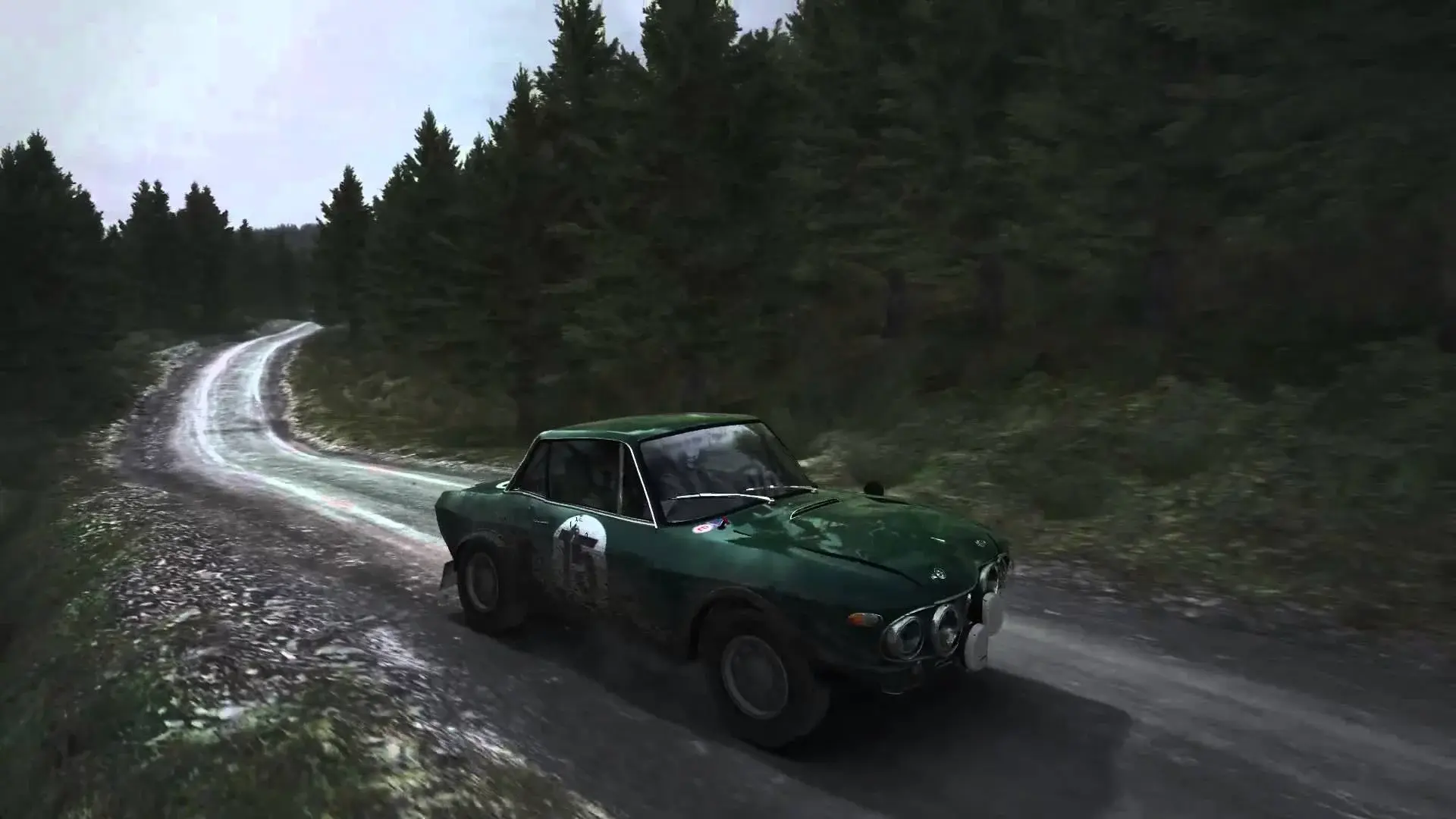 DIRTRally daño