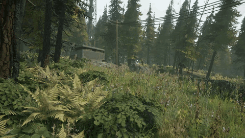 battalion1944 (2)