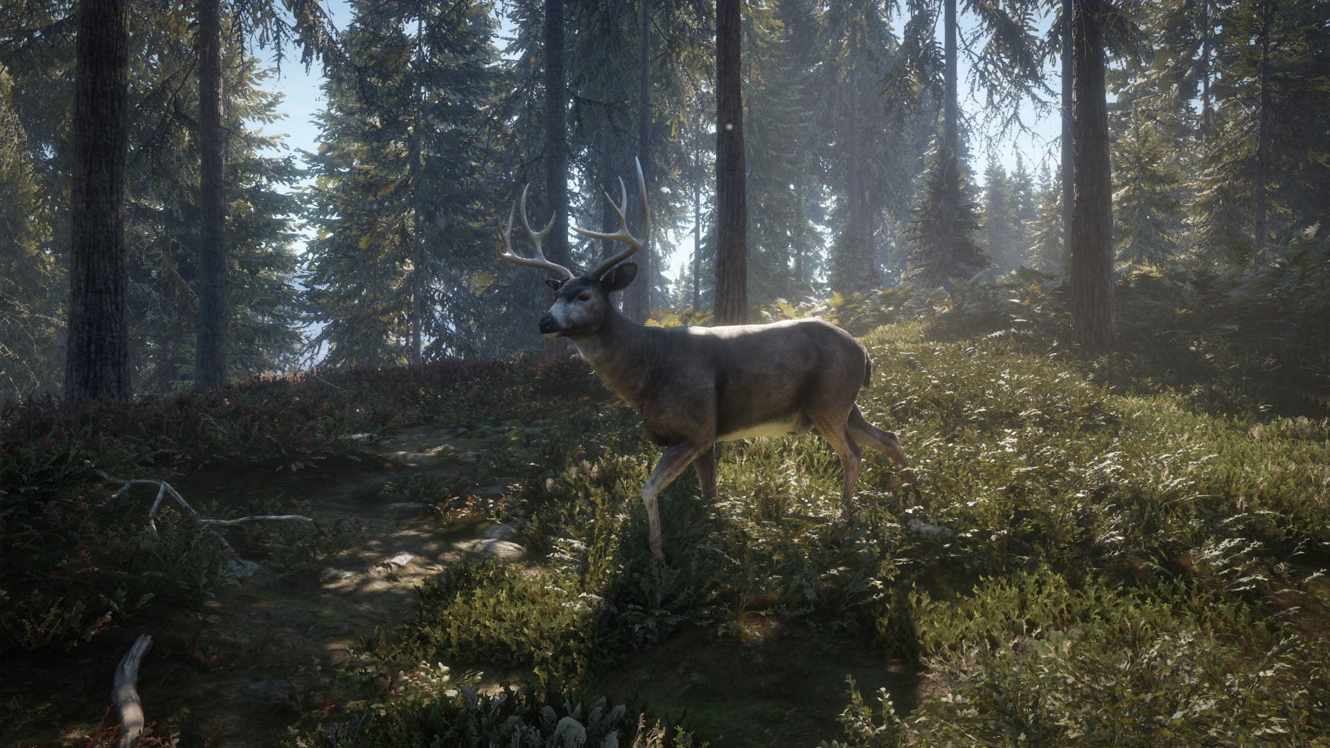 the hunter call of the wild mod the hunter call of the wild mod