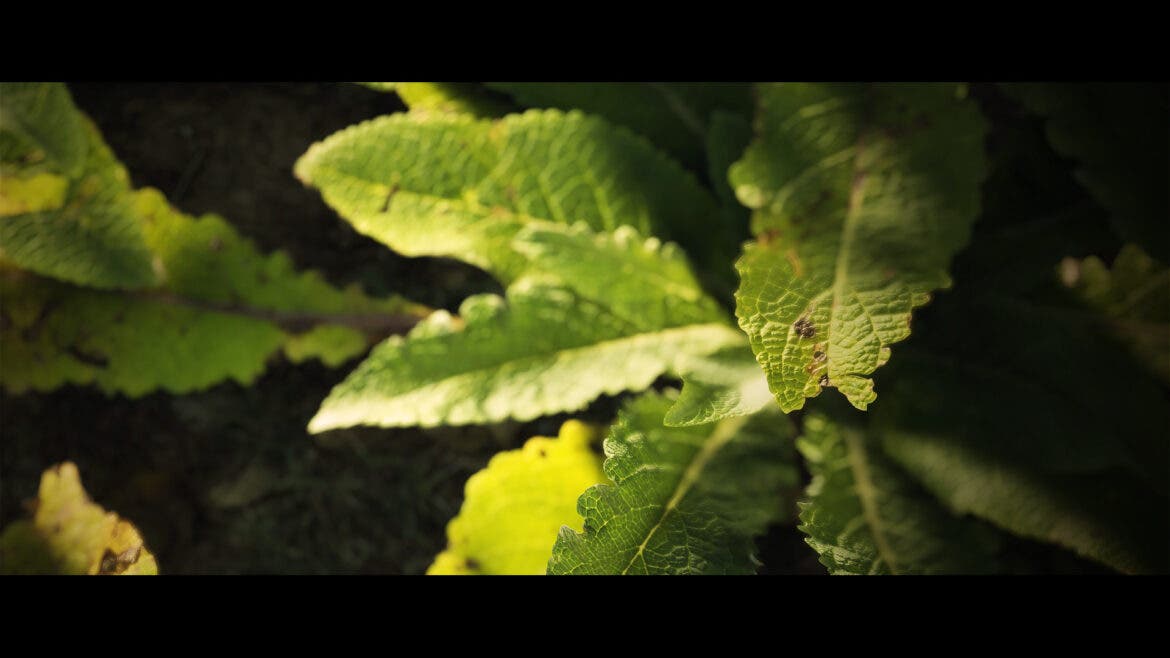 Alucina con lo que han conseguido en Crytek con CryEngine 106
