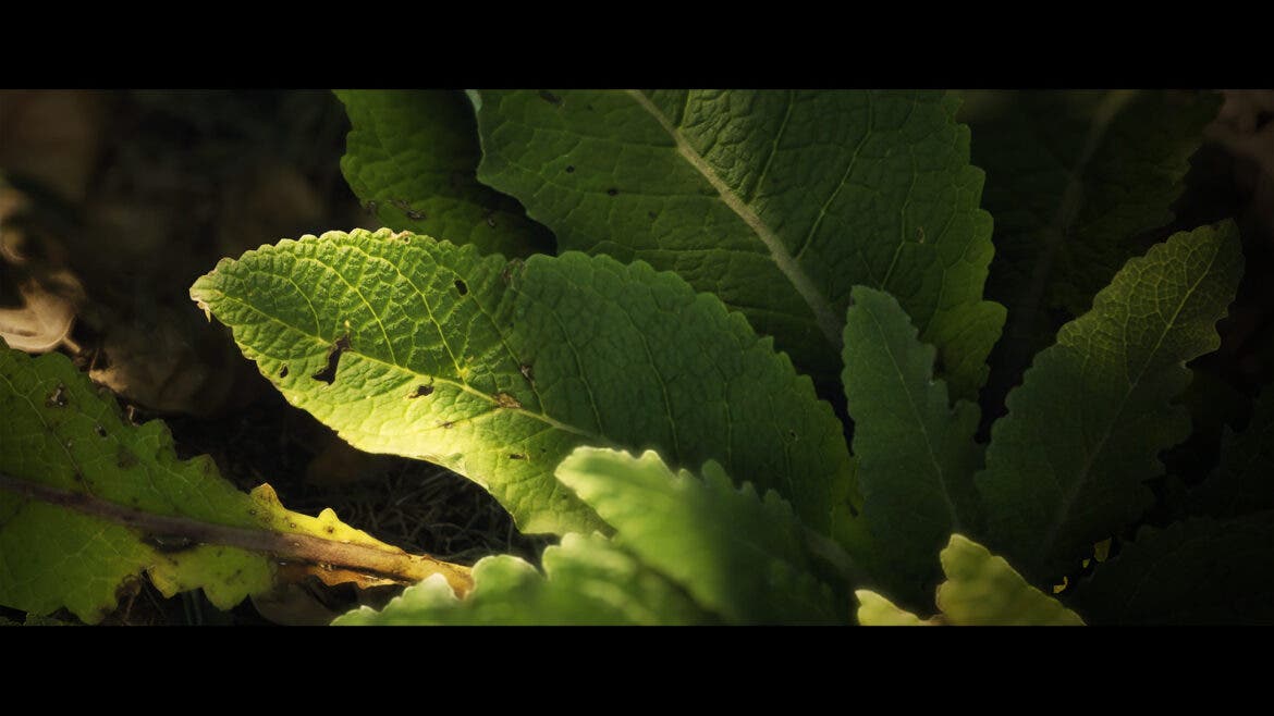 Alucina con lo que han conseguido en Crytek con CryEngine 108