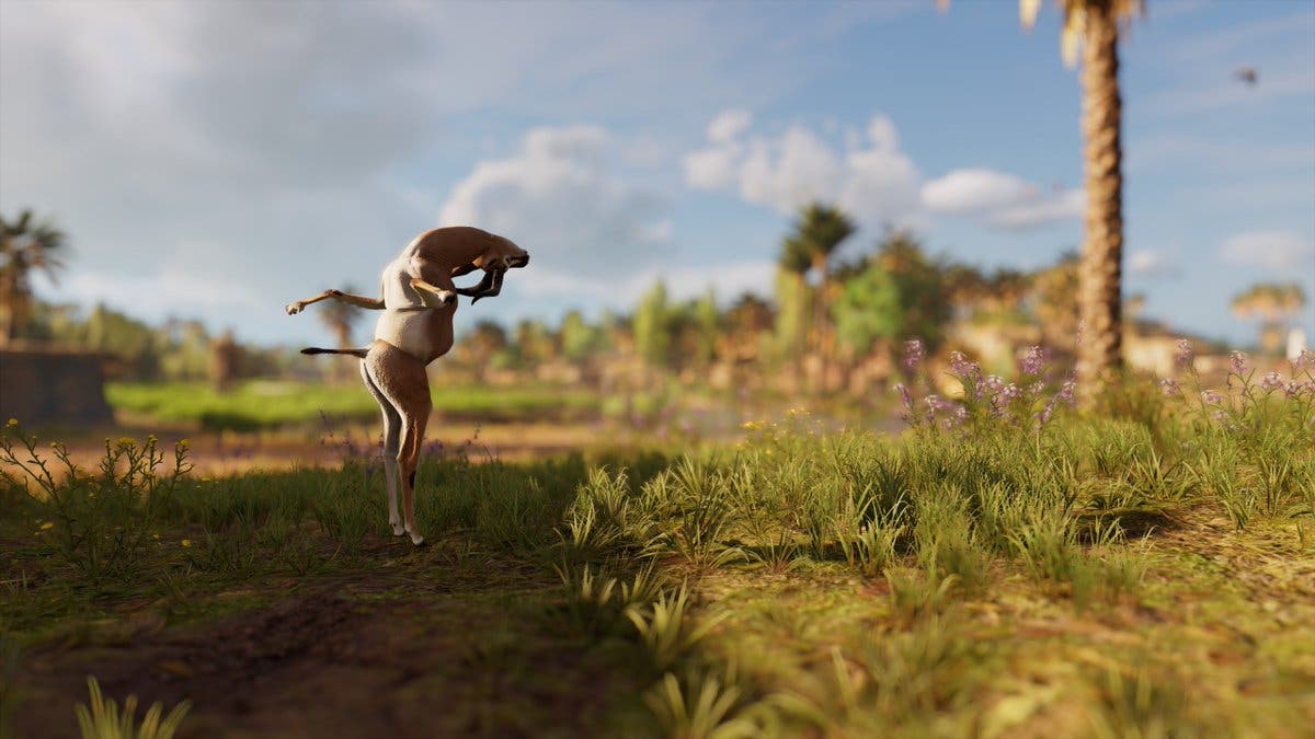 El bug de Assassin's Creed Origins que no queremos que eliminen 109