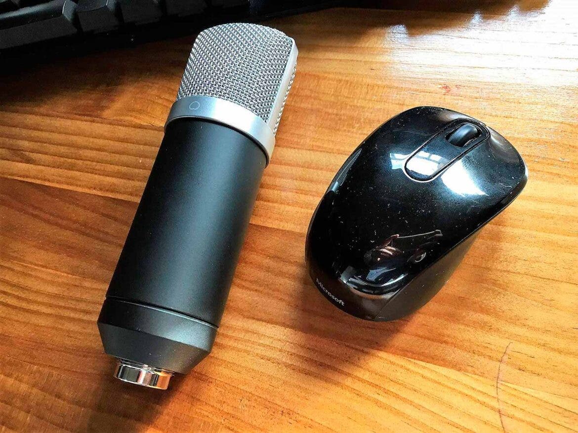 Tamaño del micrófono.