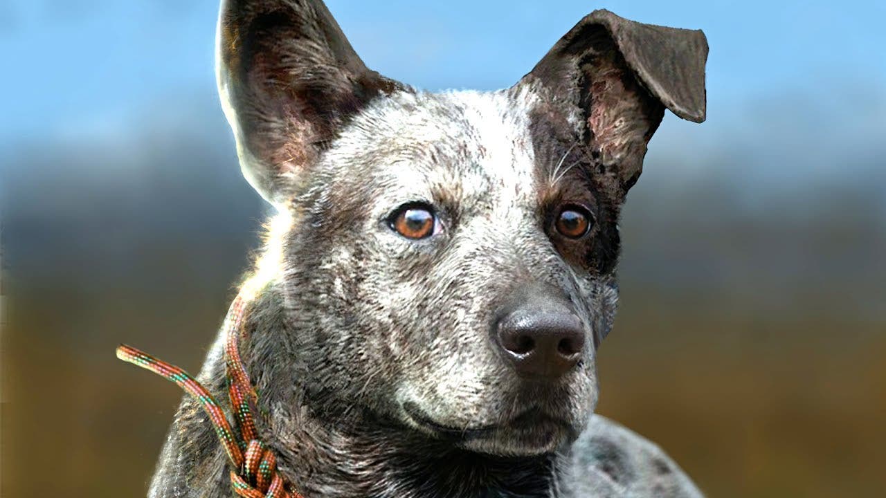 El perro de Far Cry 5, Boomer, será un compañero vital