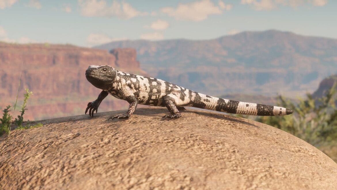 El mundo animal es el protagonista de las nuevas imágenes de Red Dead Redemption 2 116