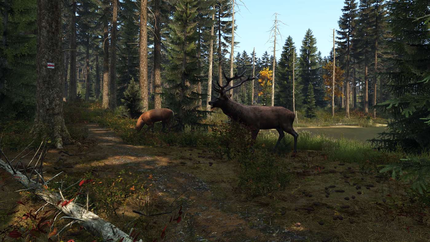Análisis de DayZ - Xbox One 141 Análisis de DayZ - Xbox One 113