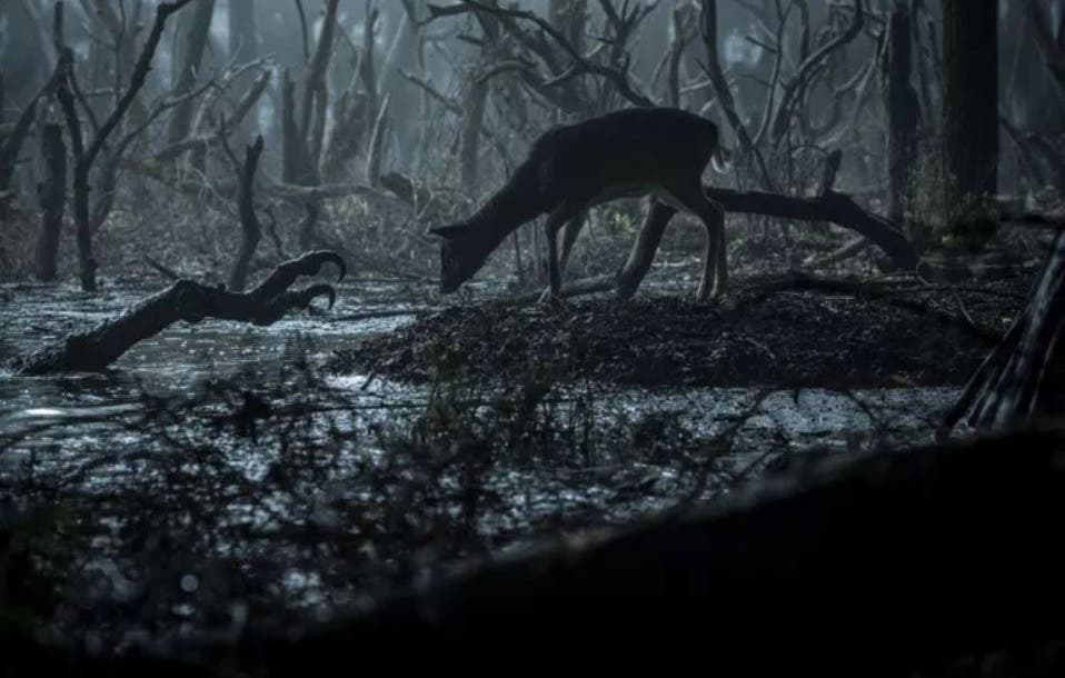Todo lo que debes saber sobre The Witcher antes del estreno de la serie de Netflix 114