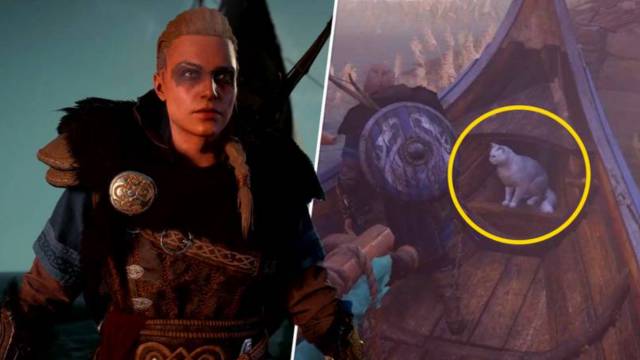 reclutar gatos en Assassin's Creed Valhalla