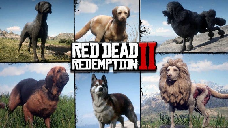 Aprovecha esta gran oferta de Red Dead Redemption 2 para Xbox Aprovecha esta gran oferta de Red Dead Redemption 2 para Xbox 1