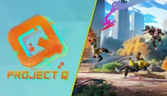 detalles de Project Q
