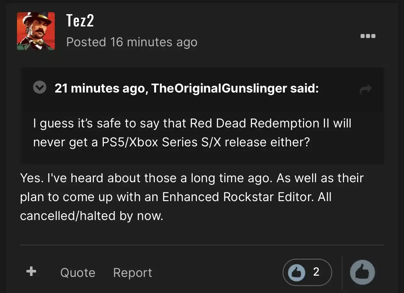 versión next gen de Red Dead Redemption 2