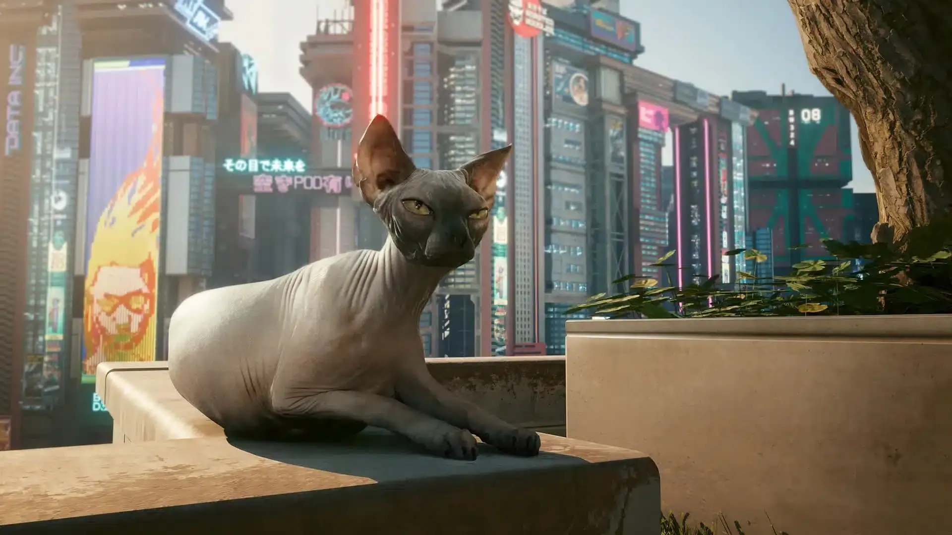actualización 1.6 de Cyberpunk 2077 (1)