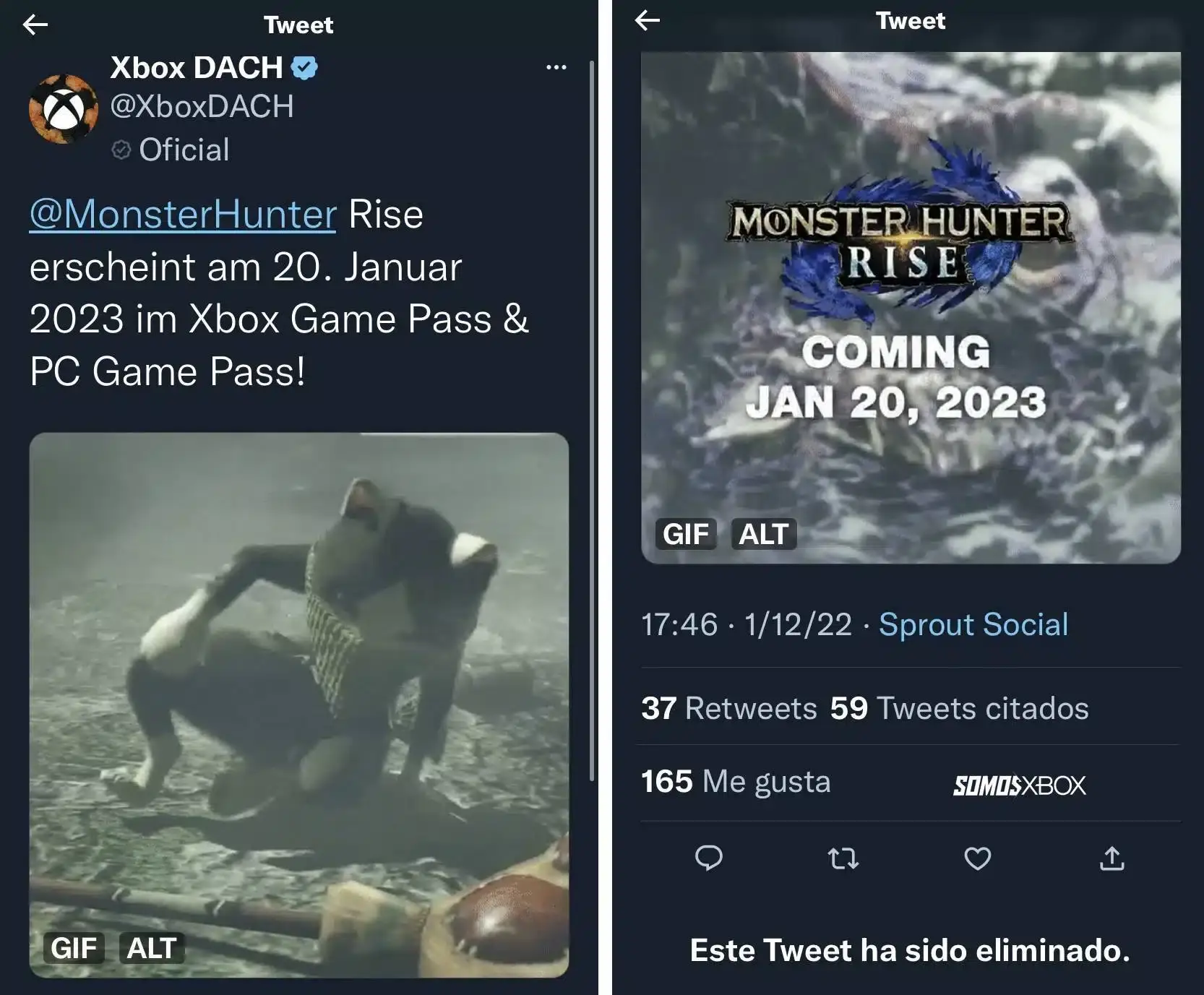 Monster Hunter Rise