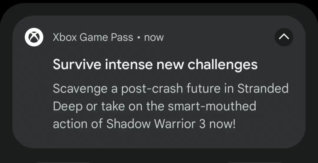 Microsoft habría filtrado la llegada de Shadow Warrior 3 a Xbox Game Pass 107