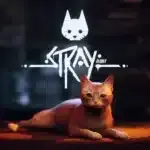 Si te gustó Stray, atiende: Annapurna Animation prepara una película de animación 108
