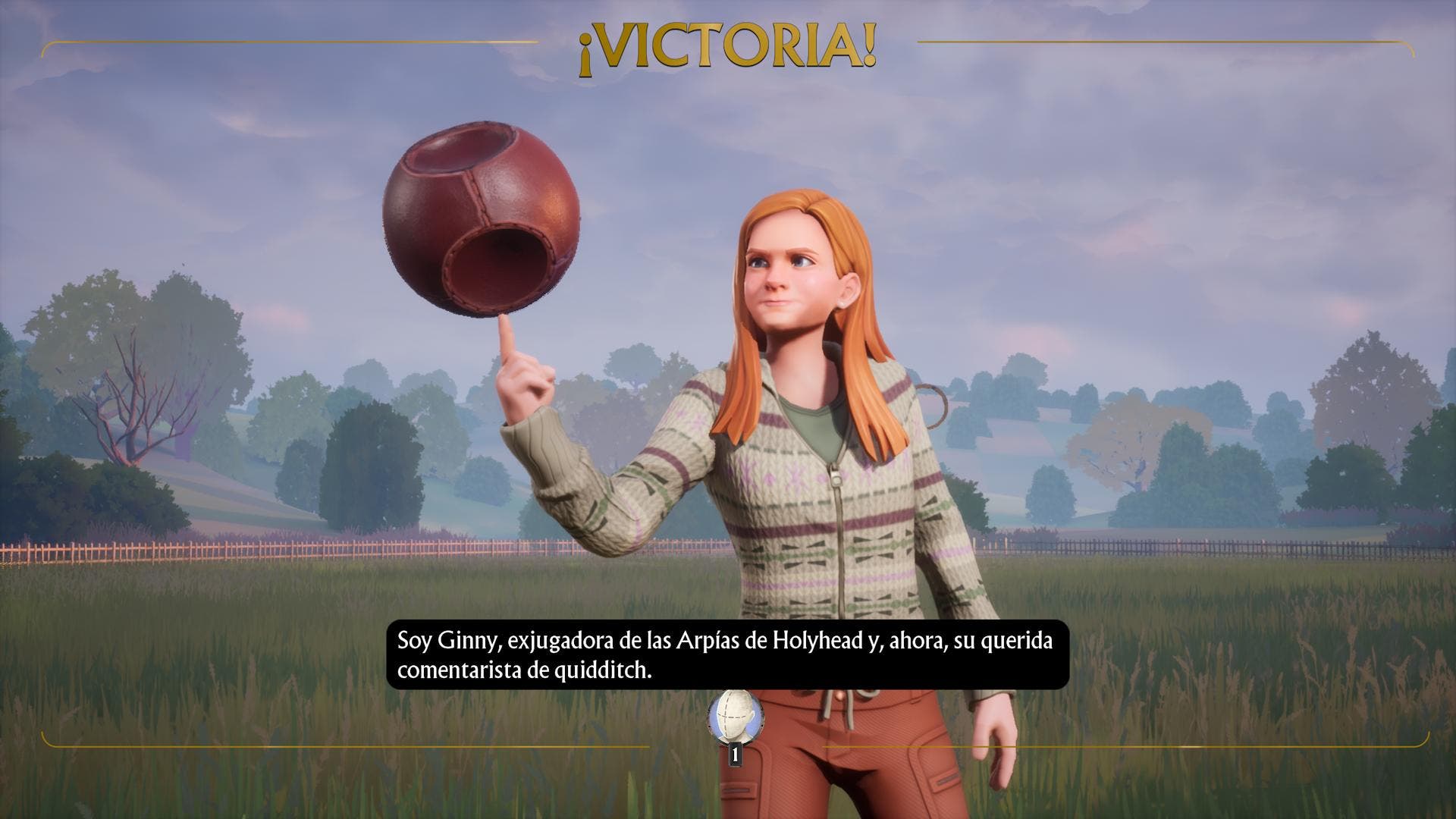 Análisis de Harry Potter Campenones de Quidditch (9)